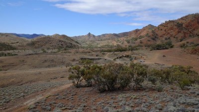 Mt Freeling Station SA