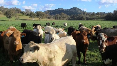 Northcotte NSW