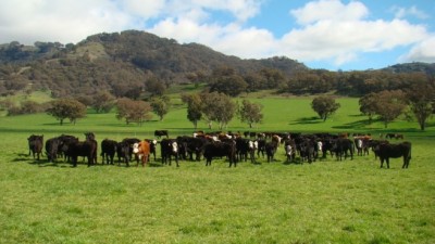Creswell Park NSW