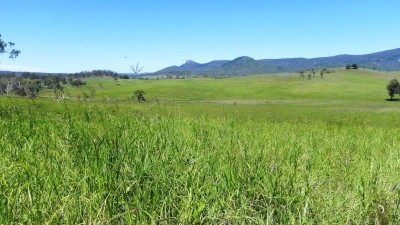 Rosehill QLD