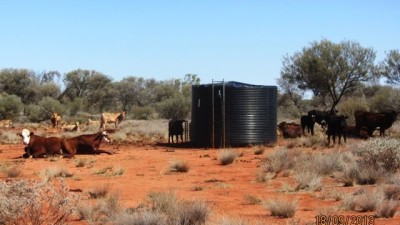 Talyealye & Karto NSW/QLD Border