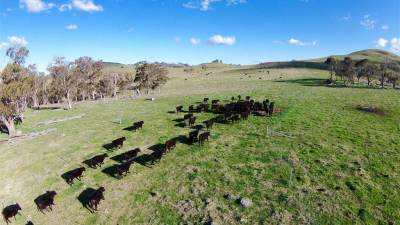 Doughboy Mountain NSW