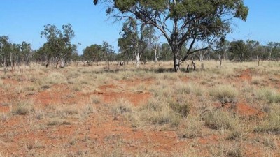 Yalli QLD