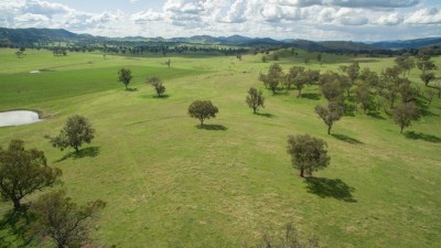Tindaroo NSW