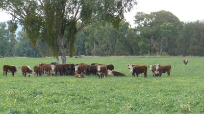 Araluen, Finschaffen & Kiaora East NSW