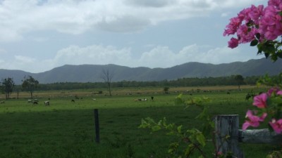 Clairview Station QLD