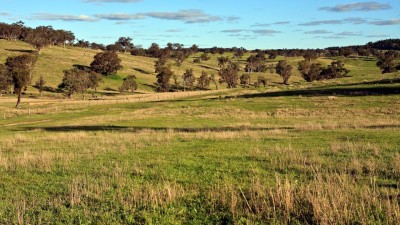 Romani NSW
