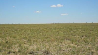 Torryburn East QLD