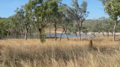 Van Lee Station QLD