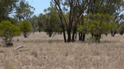 Aldville Station QLD