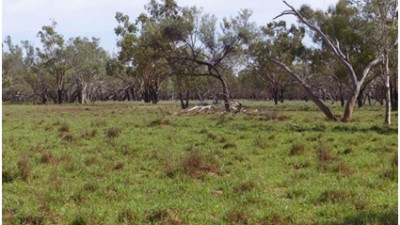 Humeburn & Yerrel QLD