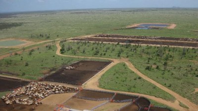 Willesley QLD