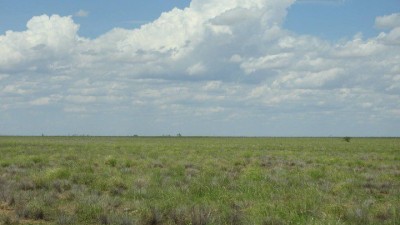Wongan QLD