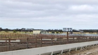 Gerang Feedlot VIC
