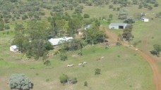 Avington West QLD
