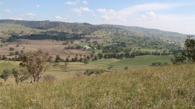 Mount Mill NSW