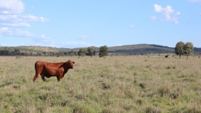 O Flat Springs QLD