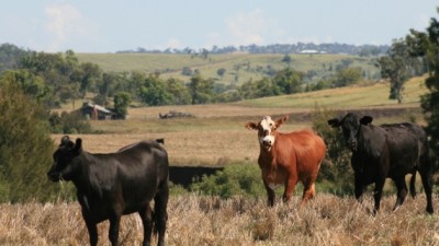 Ottley Station NSW