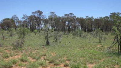 Alva QLD