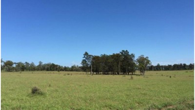 Bracco QLD