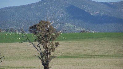 Ferndale NSW