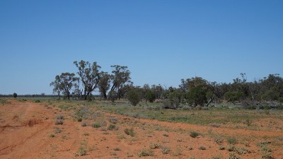 Kywong & Gilnooki QLD