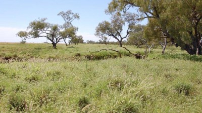 Kywong QLD