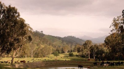 Timor Creek NSW