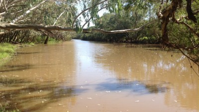 Isisford / Barcoo River Aggregation QLD