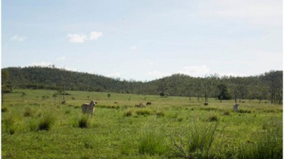 Canal Creek QLD