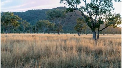 Dooloogarah QLD