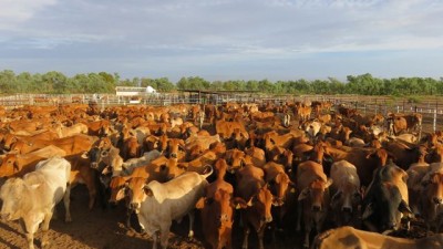 Lennox QLD