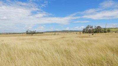 Lincol QLD