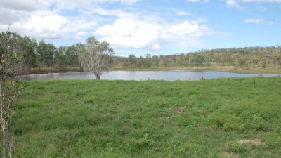 New Moon QLD
