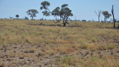 Portland Downs QLD