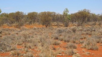 Berawinnia Downs NSW