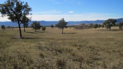 Huntingdale NSW