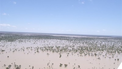 Besm QLD