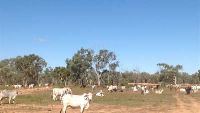 Oakley Station QLD