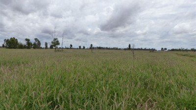 Yallara QLD