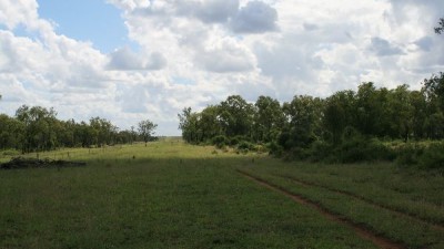 Avoca QLD