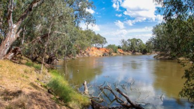 Buckingbong Station NSW