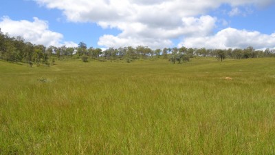 Eskdale South QLD