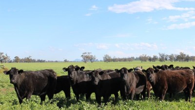 Glenrowan Aggregation NSW