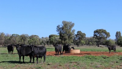 Oinmurra QLD
