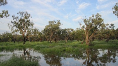Cudgee QLD