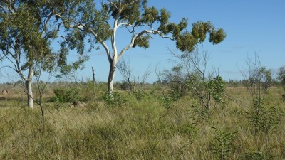 Elis QLD
