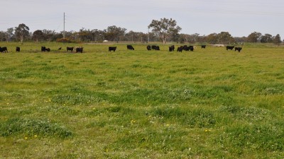 Former Forbes Abattoir NSW