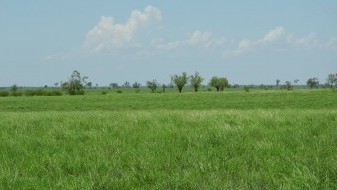 Glentor QLD