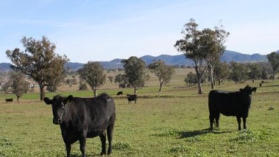 Middlebrook Park & Kooroon NSW